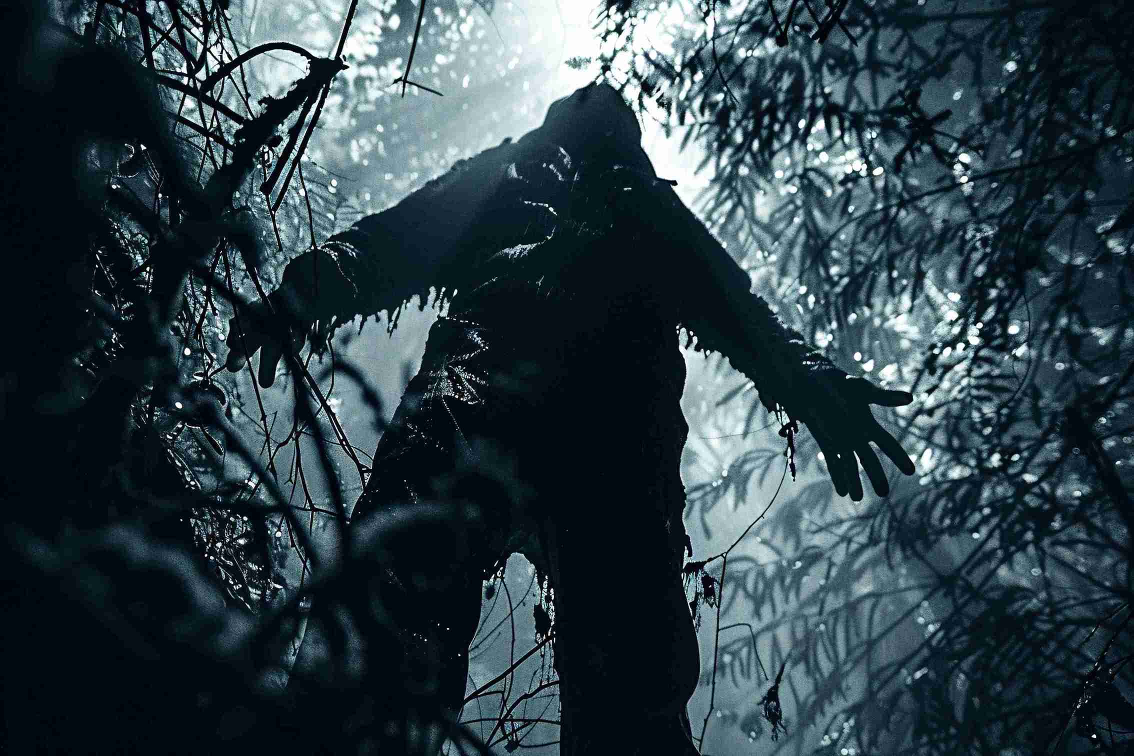 aokigahara-forest-dark-style_11zon