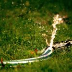 kent-hosepipe-ban-imposed-amidst-record-heatwave