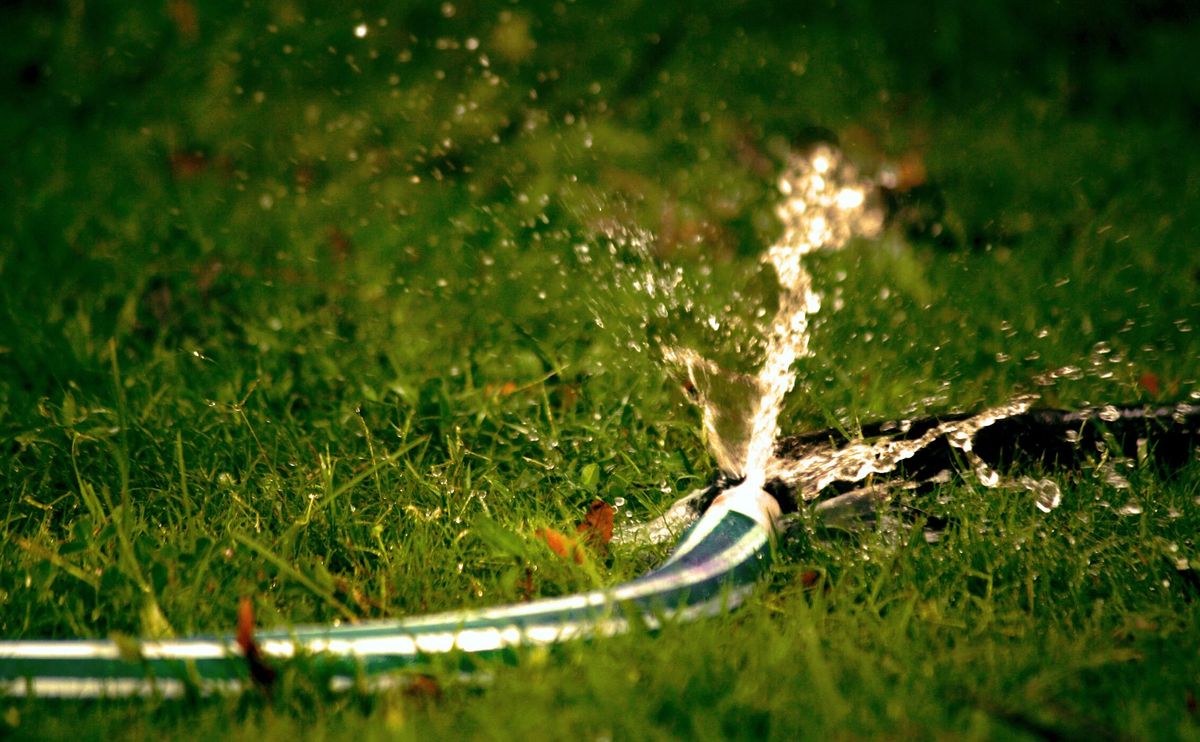 kent-hosepipe-ban-imposed-amidst-record-heatwave