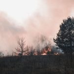 france-spain-wildfires-heatwave