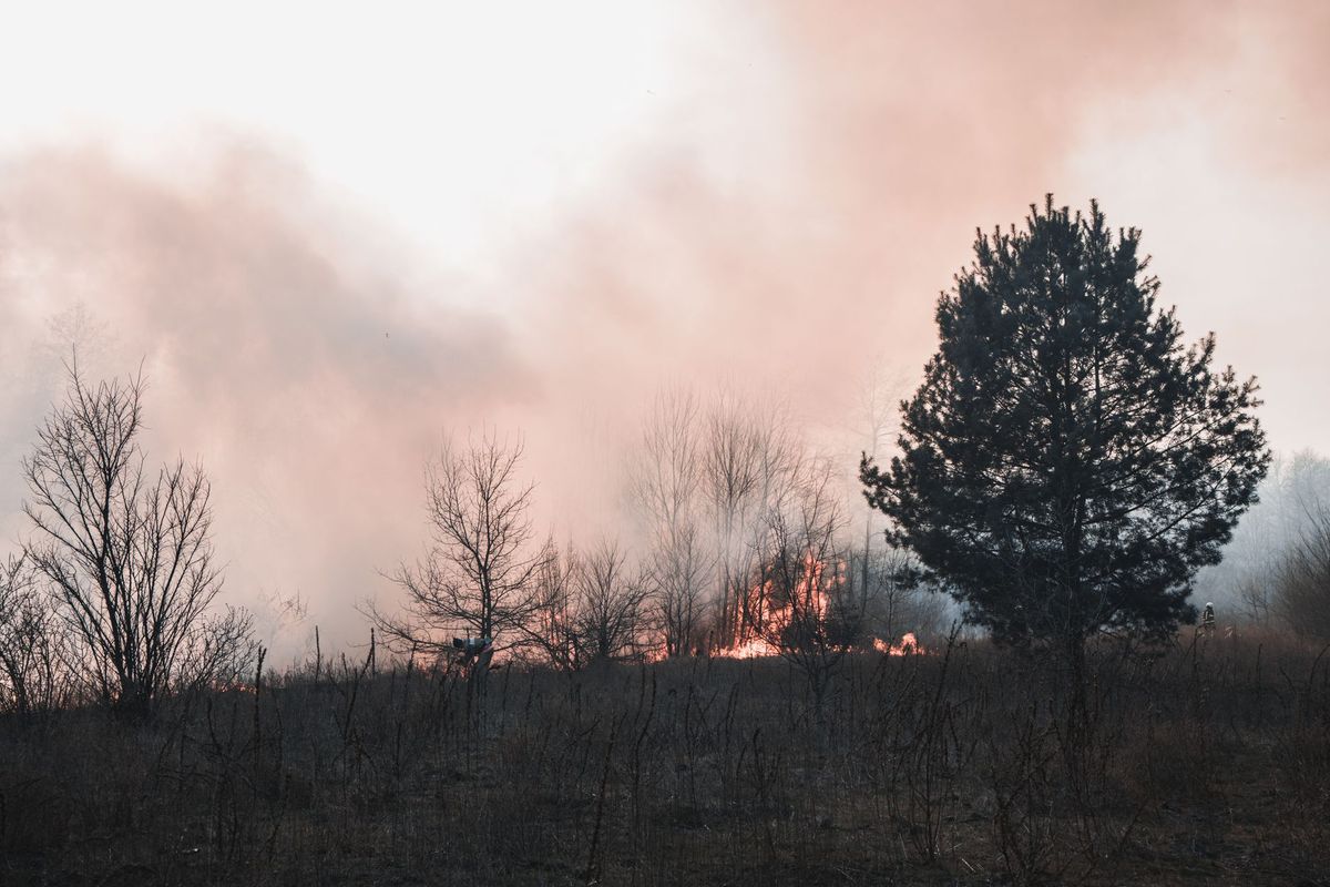 france-spain-wildfires-heatwave
