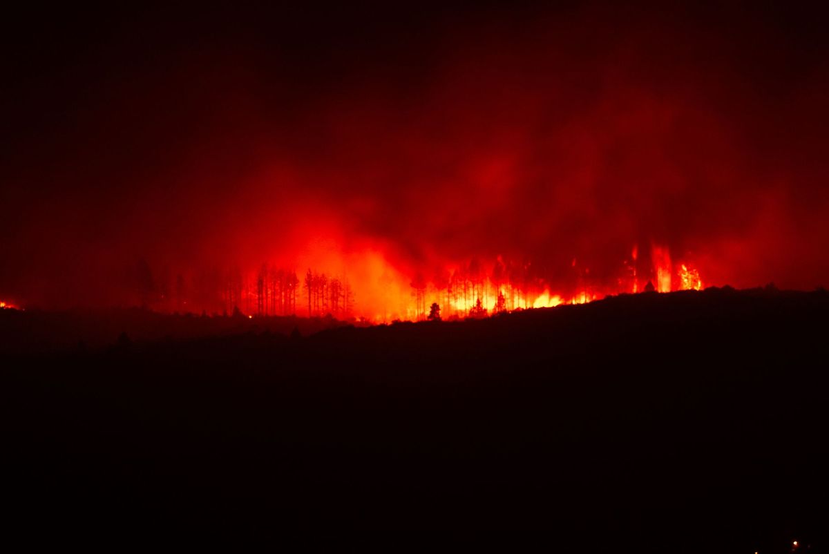 britons-evacuated-wildfires-greece