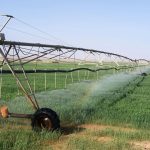 climate-adaptation-strategies-under-spotlight
