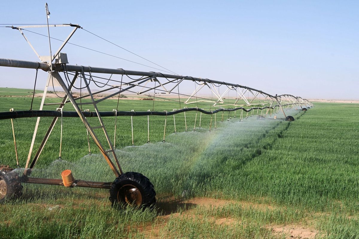 climate-adaptation-strategies-under-spotlight