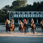 hisa-investigates-multiple-us-horse-races
