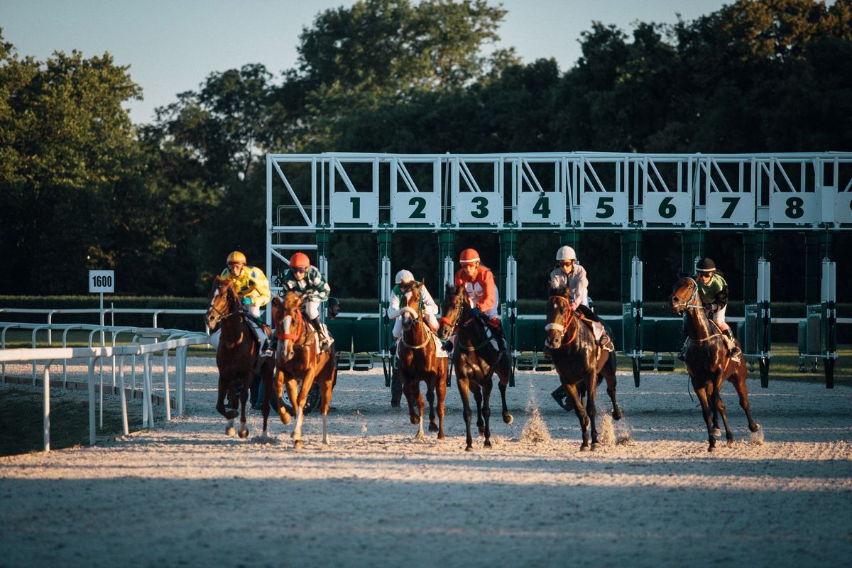 hisa-investigates-multiple-us-horse-races