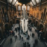 natural-history-museum-gallery-reopens