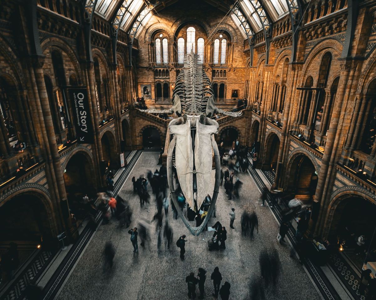 natural-history-museum-gallery-reopens